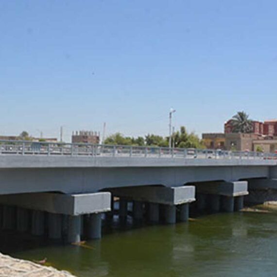 a19